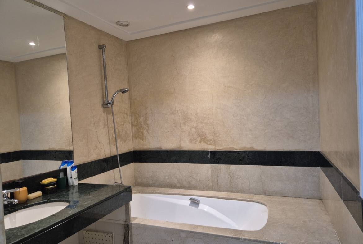 Grand appartement Racine Extension