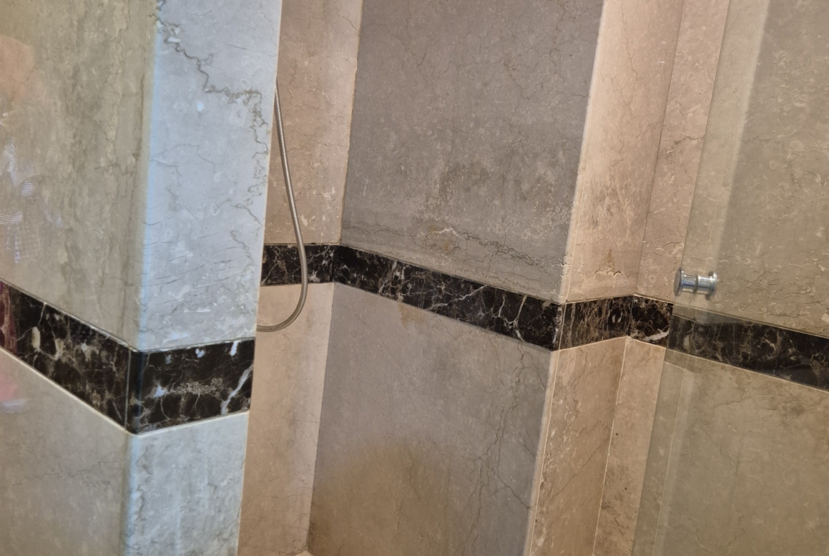Grand appartement Racine Extension